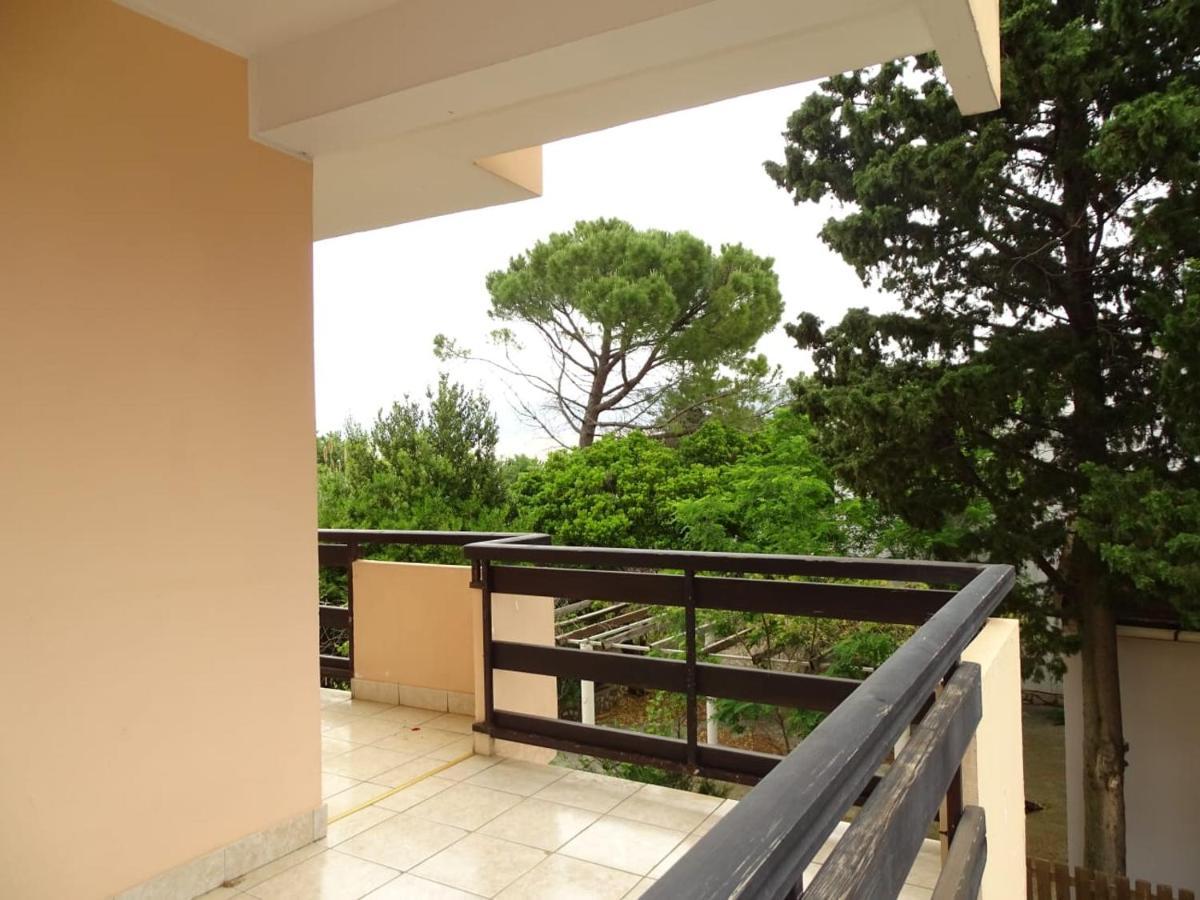 Zana Apartments Stan Trigraci Exteriér fotografie
